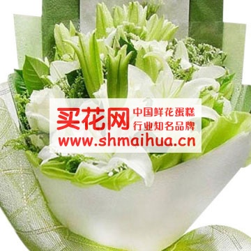 百合花的象征意义是什么?