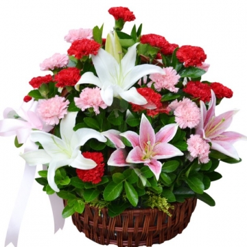教师节送女老师什么花比较合适?